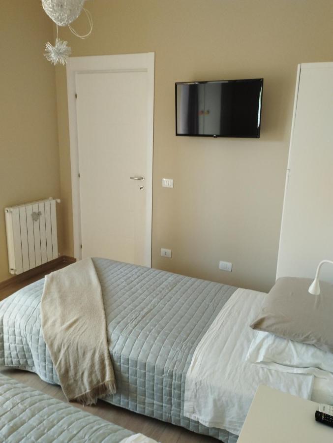 Sashome * Olbia